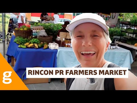 Sunday morning at the Rincon farmers market (life in Puerto Rico)