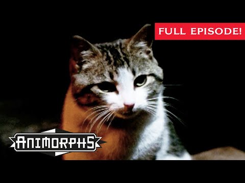 Between Friends | Full Episode | Animorphs | Scholastic Classic