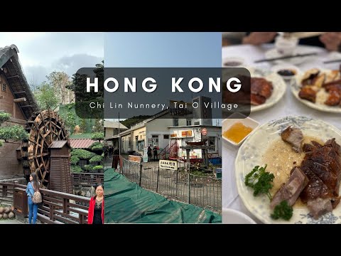 Hong Kong travel vlog 2 🇭🇰 Tai O Fishing Village, Chi Lin Nunnery, Shopping Mall hopping