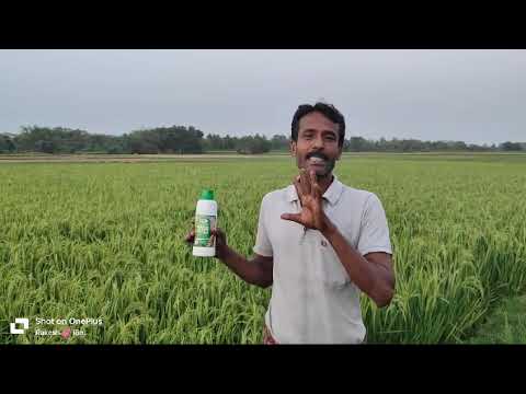 095 Sudarshan from Birbhum District | West Bengal | Nano Urea Testimonial