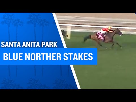 2024 $100,000 Blue Norther Stakes at Santa Anita Park