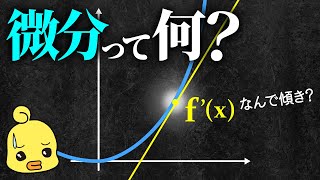 微分は何を表しているのか?数学における重要な概念の解説