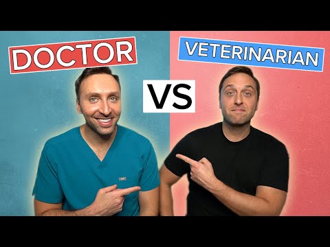 PHYSICIAN vs VETERINARIAN NEUROSURGEON