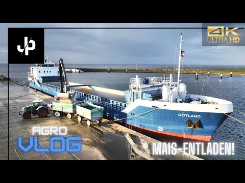 Nordsee: Mais für den Landhandel entladen -  Agrovlog#17 || JP Agrar