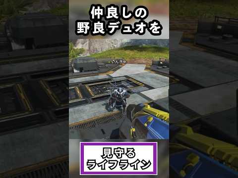 【Apex】仲良しの野良デュオを見守るライフラインw #apex #エーペックス #apex野良