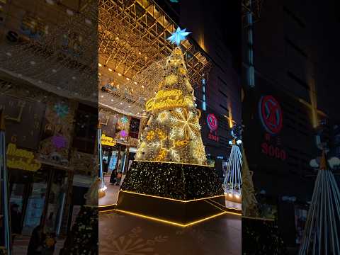 台中廣三SOGO超美的耶誕樹、耶誕燈飾！2024 Christmas Lights & Christmas tree at Taichung Kuang San SOGO｜2024聖誕節