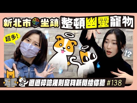 EP.138 新北市坐陣整頓幽靈寵物｜毛爸媽碎碎唸