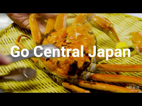 [ver.C] Go Central Japan in 8K HDR Hyperlapse - 昇龍道