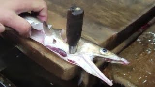 【職人技】老舗魚河岸の鱧の捌き方・下処理説明・神経締め・血抜き　How to prepare large fish