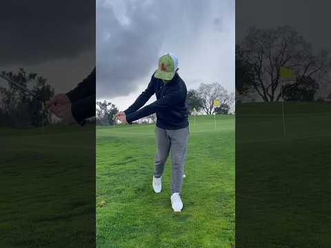 Great drill to improve your chipping and contact #golf #golfer #practice #golftips #drill