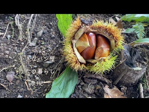 【暮らしvlog 112】秋の実りと自家製酵母