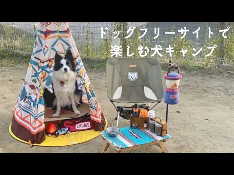 たまに行くならこんな犬キャンプ〜Camping Dog〜女子ソロキャンプ