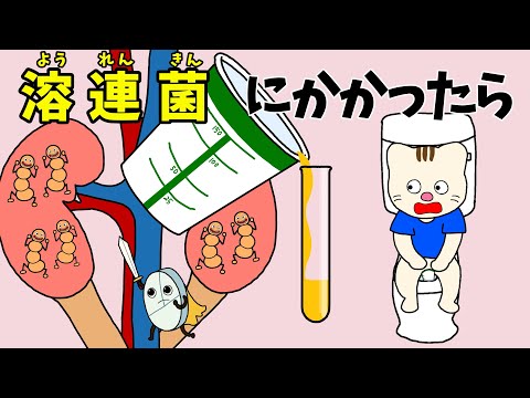 【アニメ 絵本読み聞かせ】溶連菌にかかったら〜子どもに教える溶連菌〜