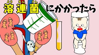 【アニメ 絵本読み聞かせ】溶連菌にかかったら〜子どもに教える溶連菌〜