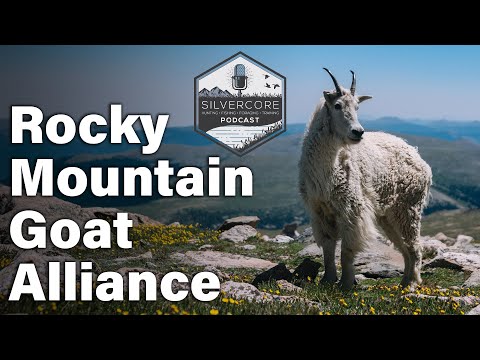 Silvercore Podcast Ep. 56: Mountain Hunting Essentials with the Rocky Mountain Goat Alliance