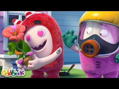 💘 Valentine Madness | Oddbods | Best Cartoons For All The Family  🎉🥳