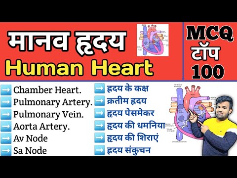 Human heart MCQ | मानव ह्रदय | Science Gk MCQ | group d | Gk for vyapam | Gk for railway exam | mcq