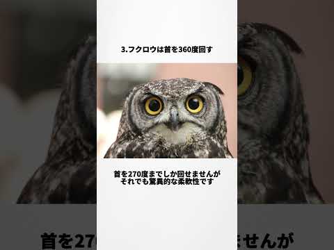 AIに日本人が間違って覚えてる知識を聞いてみた　その4