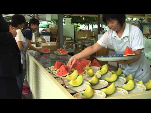 西島園芸団地