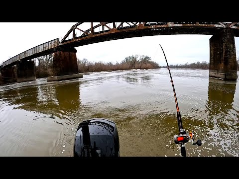 We Caught a BRIDGE MONSTER From RIPPING CURRENT!! (River Fishing)