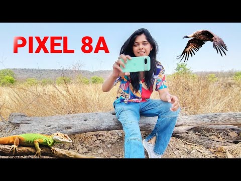 Pixel 8A Camera Test & Review : Pixel 9 Competitor?