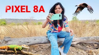 Pixel 8A Camera Test & Review : Pixel 9 Competitor?