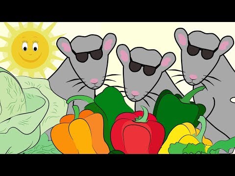 3 Blind Mice! Nursery Rhyme for Babies and Toddlers from Sing and Learn!