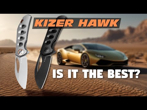 Kizer Hawk : handsome and technical knife