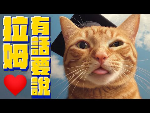 最萌橘貓 有大事要宣告！｜宇宙貓咪🐾