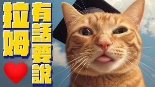 最萌橘貓 有大事要宣告！｜宇宙貓咪🐾