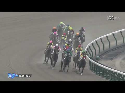 2022/10/10　マーゴットレーヴ　新馬戦