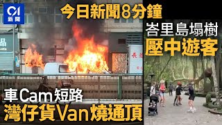 今日新聞｜貨Van焚毀傳爆炸聲　疑車Cam短路｜峇里島名勝公園多棵大樹突倒塌｜01新聞｜貨VAN｜車CAM｜爆炸｜峇里島｜大樹倒塌 ｜居屋｜2024年12月12日   #hongkongnews