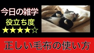 【知恵袋】正しい毛布の使い方【暮らしの役立ち情報】