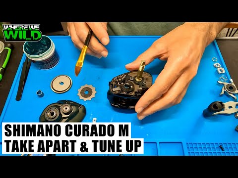 SHIMANO CURADO M - Take Apart & Tune Up - Reel Maintenance