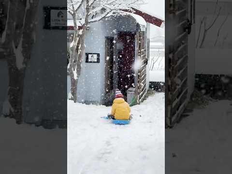 玩雪的快乐/The joy of playing in the snow#snow#日本#長野#白馬村#Japan #Nagano #HakubaVillage#Hakuba