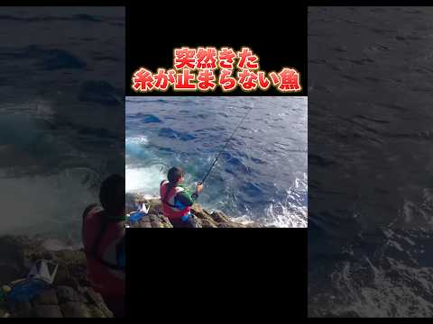 糸が止まらない魚との戦い#釣り#沖縄#fishing#天仁屋