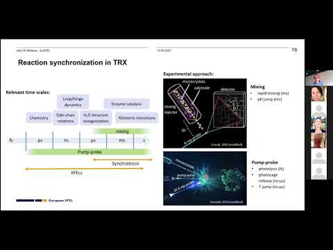 Sample requirements for time-resolved experiments with biomolecules at European XFEL