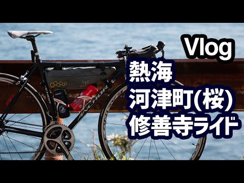 Kawazu cherry blossoms Cycling (Atami Shizuoka, Japan)