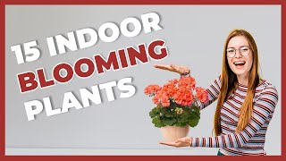 15 EASY CARE INDOOR FLOWERING PLANTS FOR BEGINNERS |