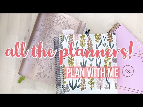 Using 3 Planners for May | Passion Planner | Plum Paper Planner | Content Planner