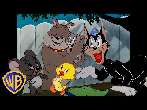 Tom y Jerry en Latino | ¡Los mejores personajes secundarios! 🐣🐶 | @WBKidsLatino