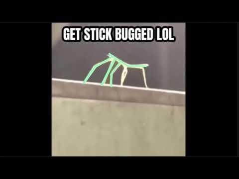 get stick bugged lol