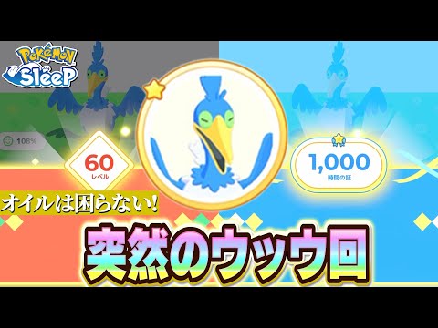 ニューラに振り回されてたらウッウと1000時間寝ていましたｗ【ポケモンスリープ/ウノハナ雪原】