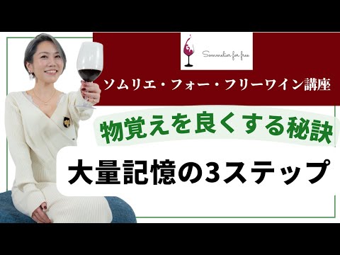 大量記憶の3ステップ【2023年 Sommelier for free ワイン講座 序章3話 】