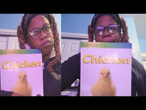 From Egg to Plate in 60 Days, the REAL Life Cycle of a Chicken!