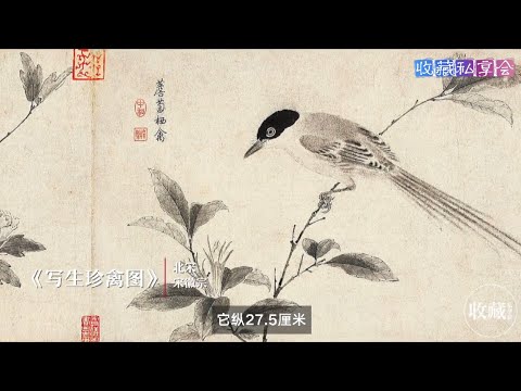 石渠宝笈EP18：宋徽宗的《写生珍禽图》