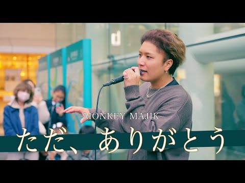 【歌詞付】穴のない歌声で観客を魅了するTHEパーフェクトシンガー ただ、ありがとう / MONKEY MAJIK【川崎路上ライブ-24.11.10】by 髙橋一輝