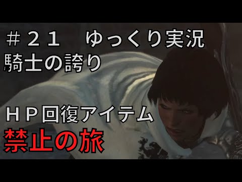 【ドラゴンズドグマダークアリズン】HP回復アイテム縛りの旅＃２１【ゆっくり実況】