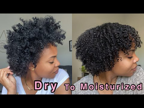 Dry to moisturized | Twistout | for dry Natural Hair