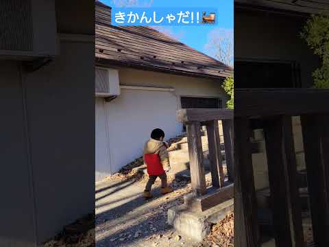 本物の機関車だ！D51を見に来たよ👶👶2歳5ヶ月双子